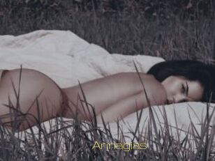 Arinagias