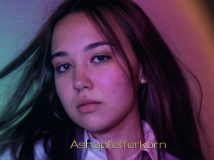 Ashapfefferkorn