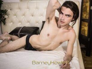 BarneyHowlett