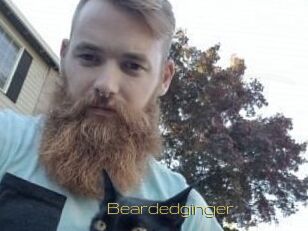 Beardedginger