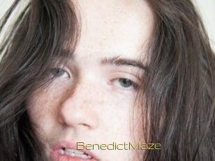 Benedict_Maze