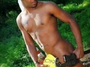 BidDjiggle
