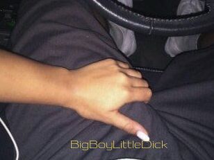 BigBoyLittleDick