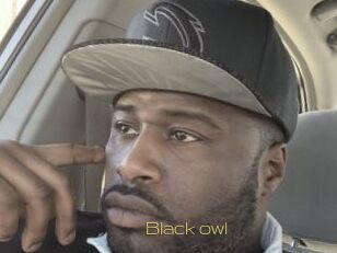 Black_owl