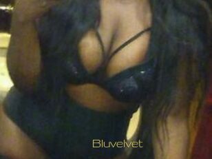 Bluvelvet