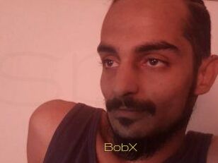 BobX