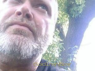 BoldIrishBear