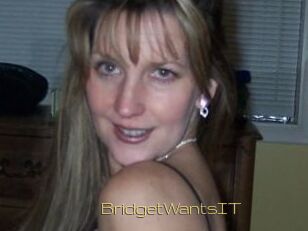 BridgetWantsIT