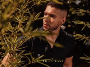 BruceSilva