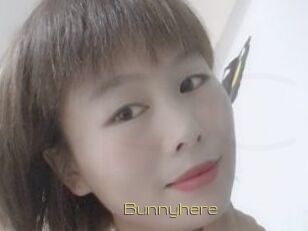 Bunnyhere