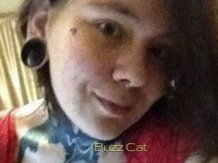 Buzz_Cat
