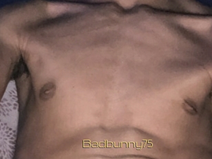 Badbunny75
