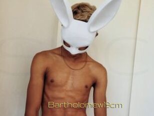 Bartholomew19cm