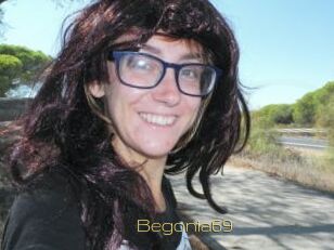 Begonia69