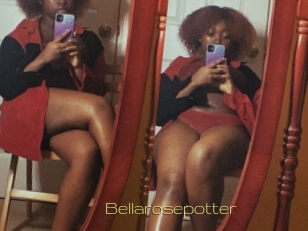 Bellarosepotter
