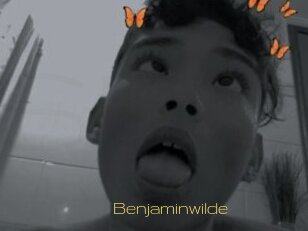 Benjaminwilde