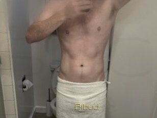 Bibud