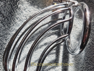 Bicepssobehave