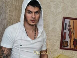 Bigcock1