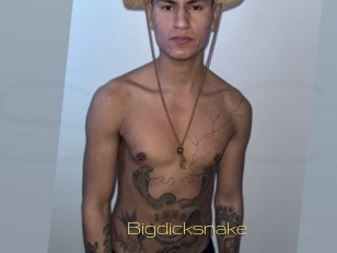 Bigdicksnake