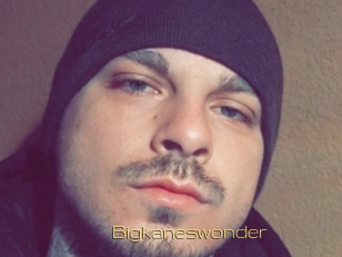 Bigkaneswonder