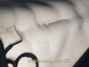 Bigsloppycock125