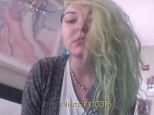 Bluebird0316
