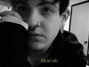 Boicub