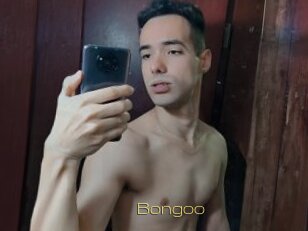 Bongoo