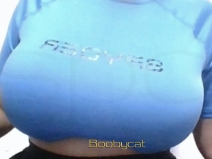 Boobycat
