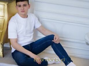 Brandonbud