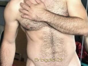 Brbigdick29