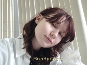Breebaskett