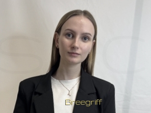 Breegriff