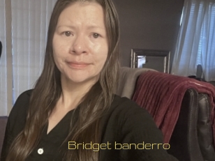 Bridget_banderro