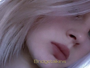 Bridgetalkins