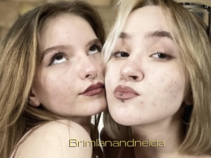 Brimlanandnelda