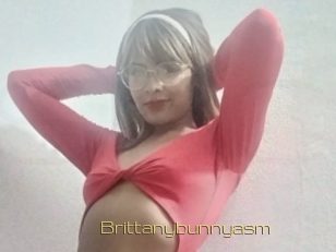 Brittanybunnyasm