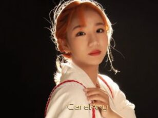 CarelAny Super Cul