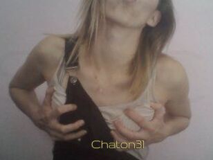 Chaton31
