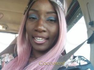 Cocoaleaf