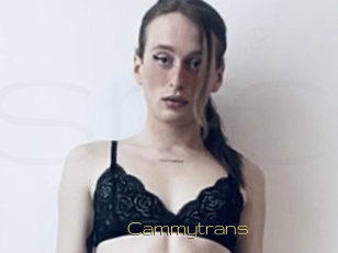 Cammytrans