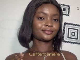 Cartercamelia