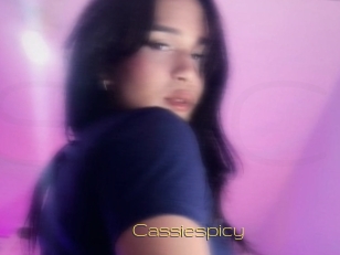 Cassiespicy