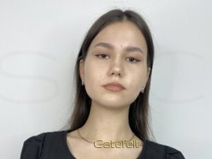 Catefelt