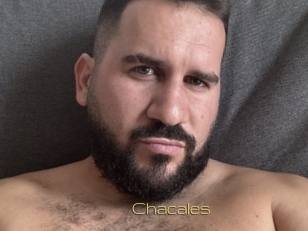 Chacales