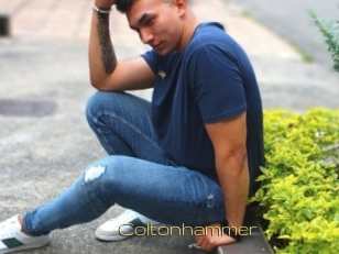 Coltonhammer