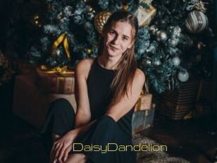 DaisyDandelion