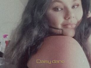 Daisy_dane