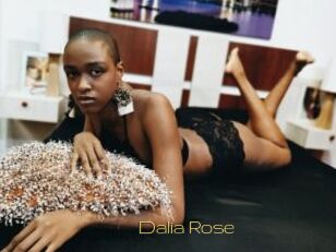 Dalia_Rose